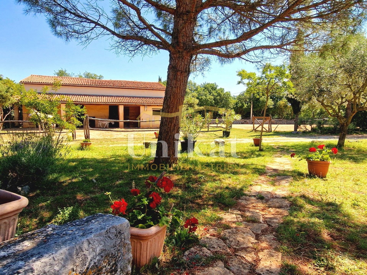 Avtentično posestvo s kamnito hišo in velikim zemljiščem